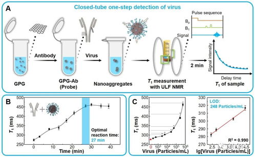 中國科學(xué)院研發(fā)出檢測病毒和蛋白相互作用的磁性生物傳感技術(shù)
