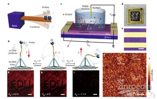 4分鐘內(nèi)出核酸結(jié)果 復(fù)旦大學(xué)如何實(shí)現(xiàn)精準(zhǔn)生物檢測